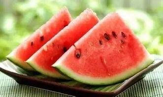 怎么可以吃兔兔 